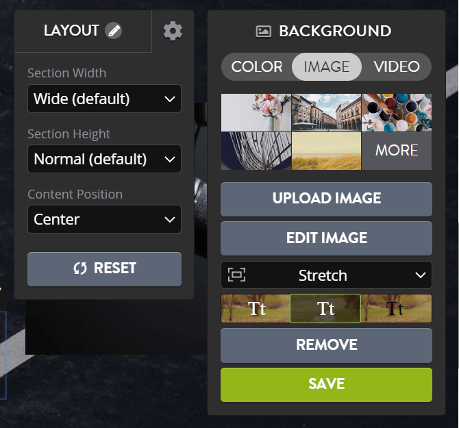 Strikingly Editor Options