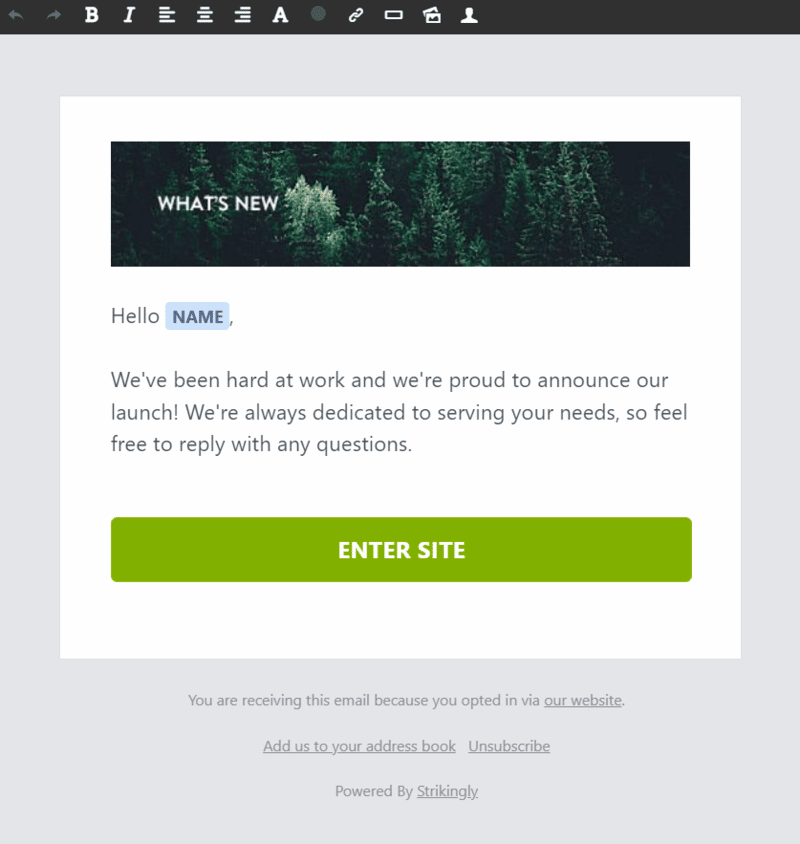 Strikingly Newsletter
