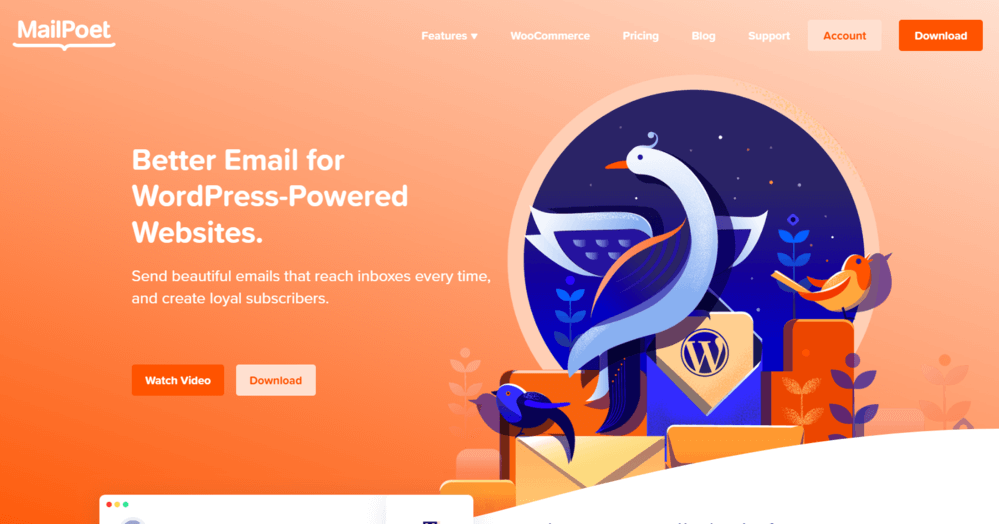MailPoet Landing Page
