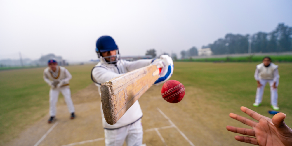 How to Make an IPL Sports Blog Website & Earn Money